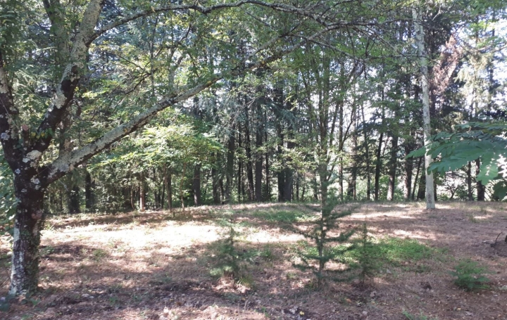 Terrain   SAINT-AMBROIX   66 000 € 